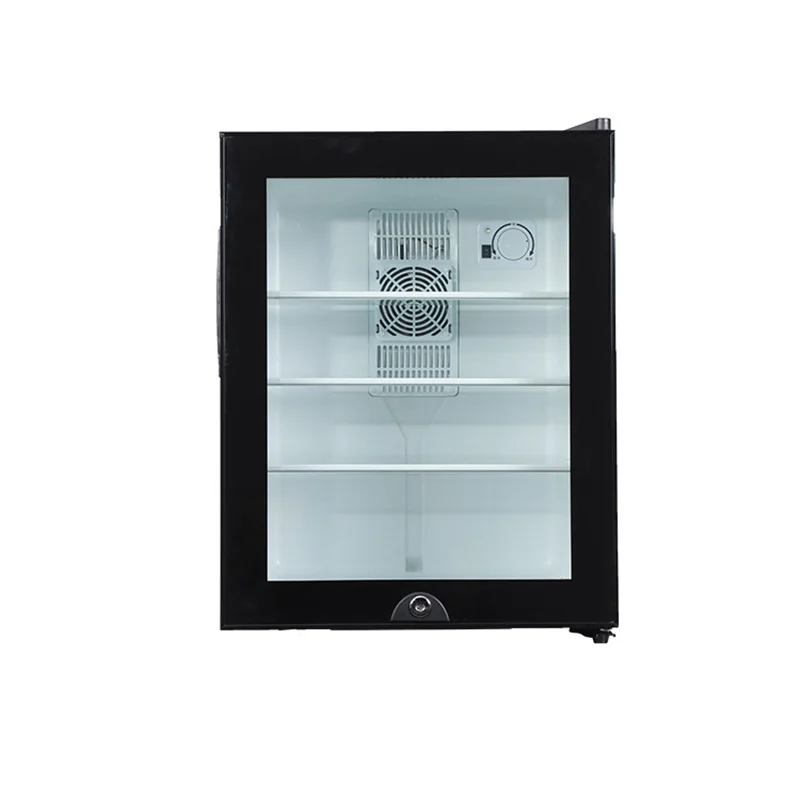 Wine Beer Cooler Fridge - Mini-Kühlschrankkühler, 40 l, Glastür für Bier,